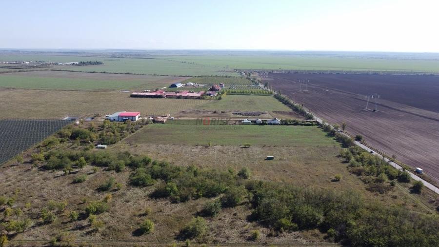 Teren agricol extravilan de 10000 mp, în Frumușani