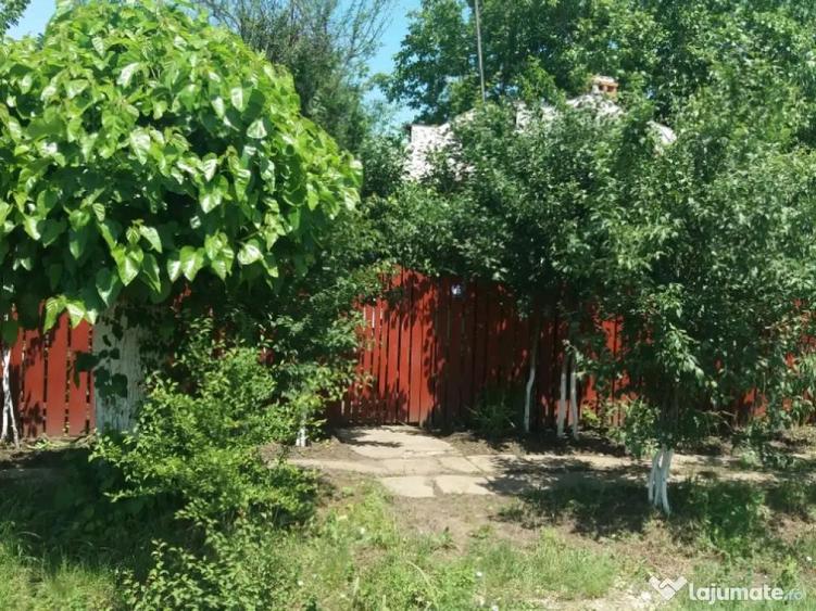 Casă cu 4 camere în Izvoarele