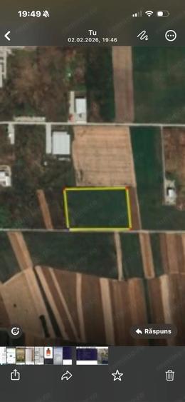 Teren de 43000 mp, în Bolintin-Deal