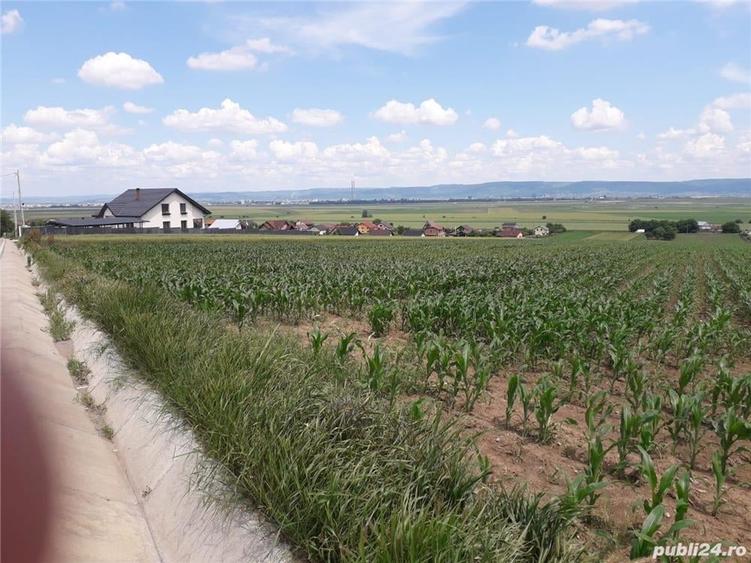 Proprietar, vand teren intravilan,jud. Bacau, com. Sarata, sat Dealu Nou. - 1