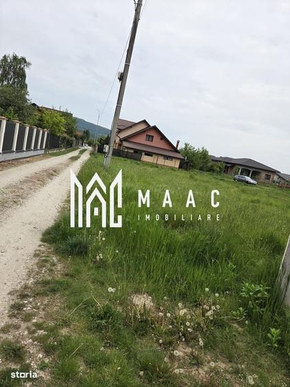 Spațiu comercial, în Bârlogu