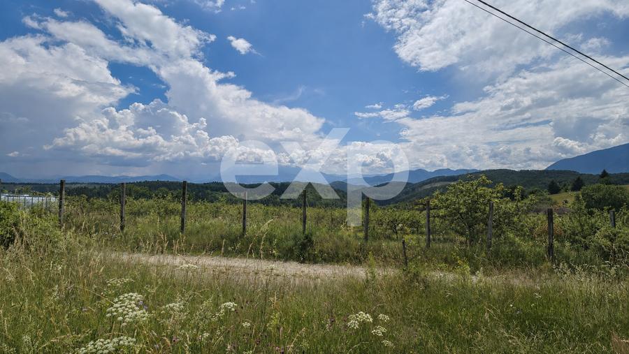 Teren agricol extravilan de 11368 mp, în Poiana Mărului