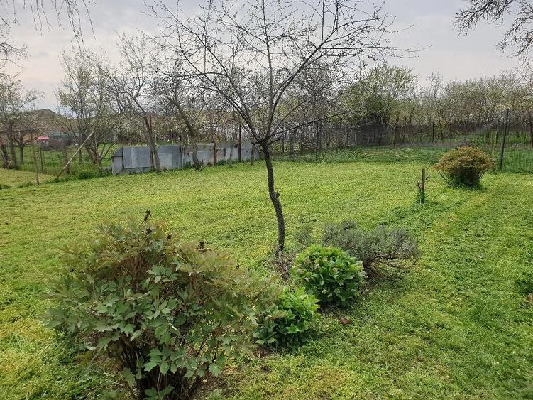 Casă cu 4 camere cu Teren 1600 Mp în Orțișoara