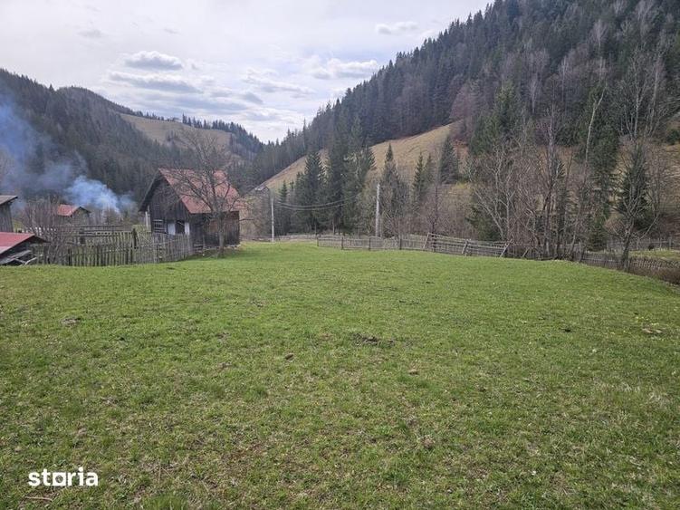 Teren de vanzare in Bucovina Fundu Moldovei - 4
