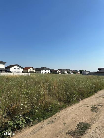 Teren de Vanzare, Comuna Berceni, Judetul Ilfov, Strada Gradinari - 3