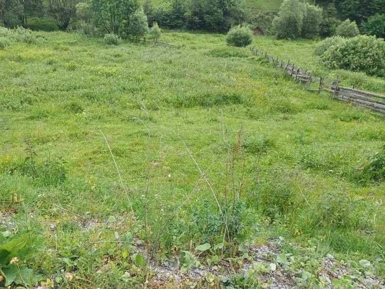 Teren de 3500 mp, în Central