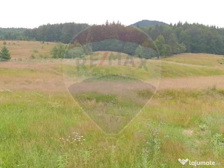 Teren de 20000 mp, în Dălghiu