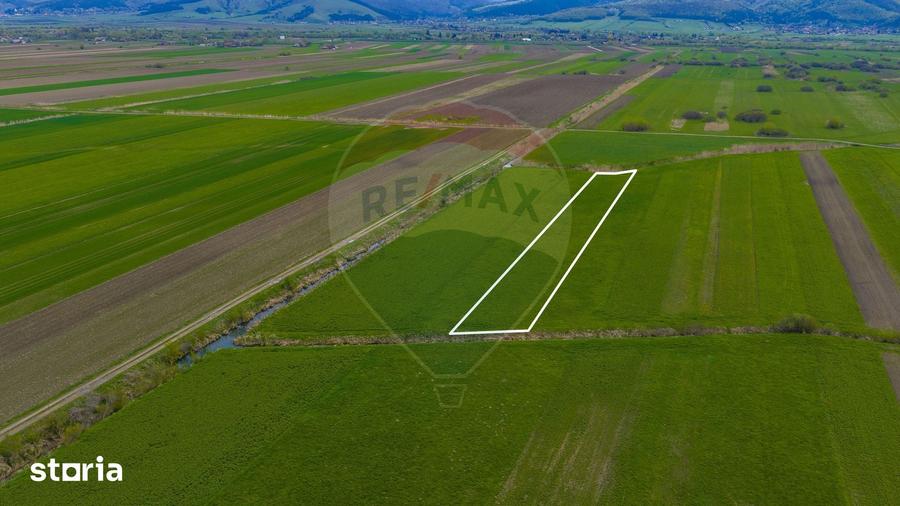 Teren de 4000 mp, în Prejmer