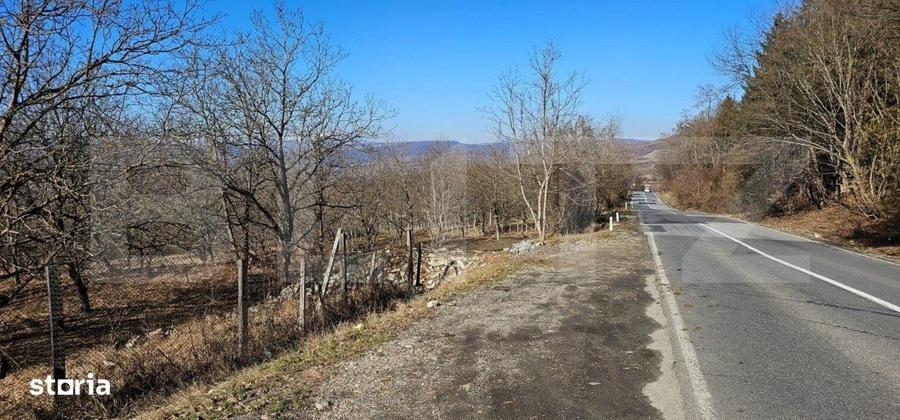 Teren de 30 de ari, Dumitra, 5km de Bistrita - 1