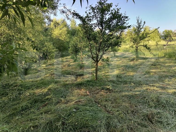 Teren agricol intravilan de 14400 mp, în Gemenea-Brătulești