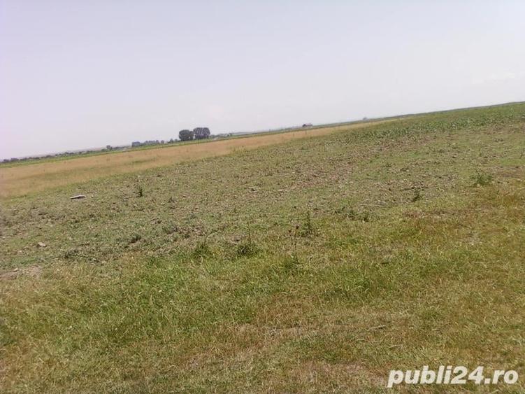 Teren de 9.5 mp, în Ceamurlia de Jos
