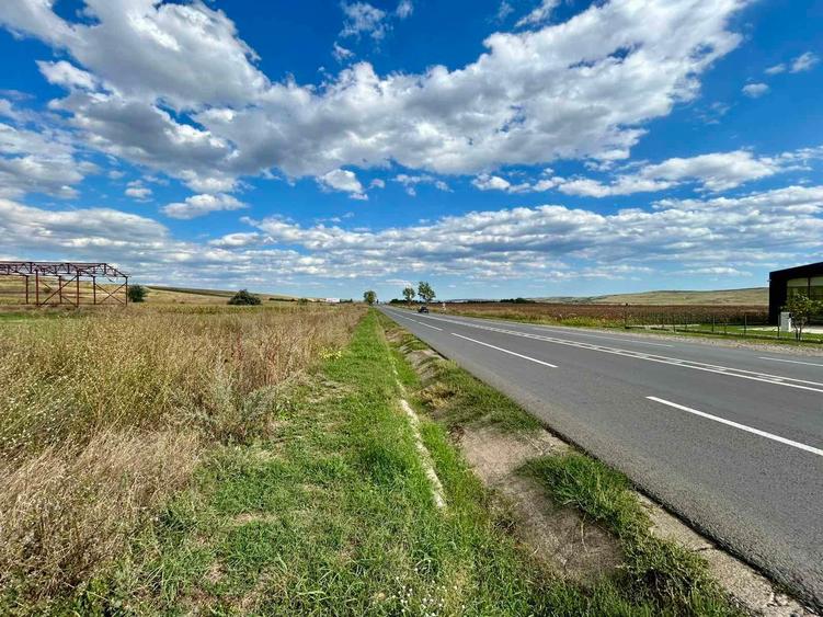 Teren agricol extravilan de 14980 mp, în Central