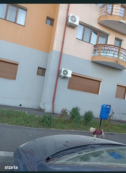 Apartament cu 2 camere în Snagov
