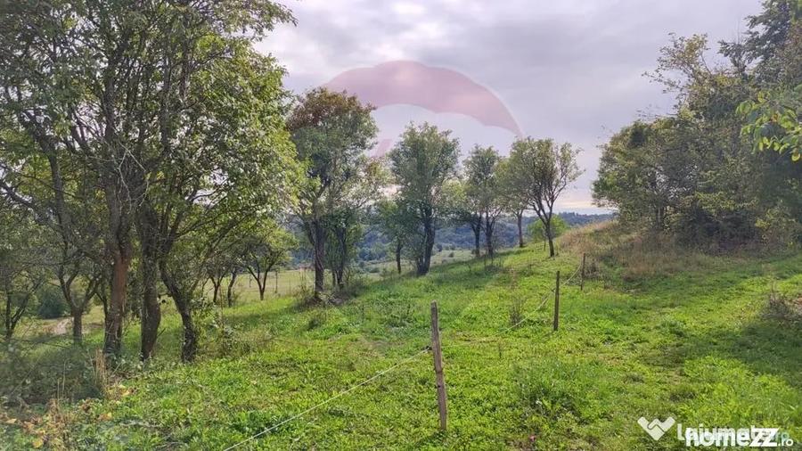 Teren de 3082 mp, în Damiș