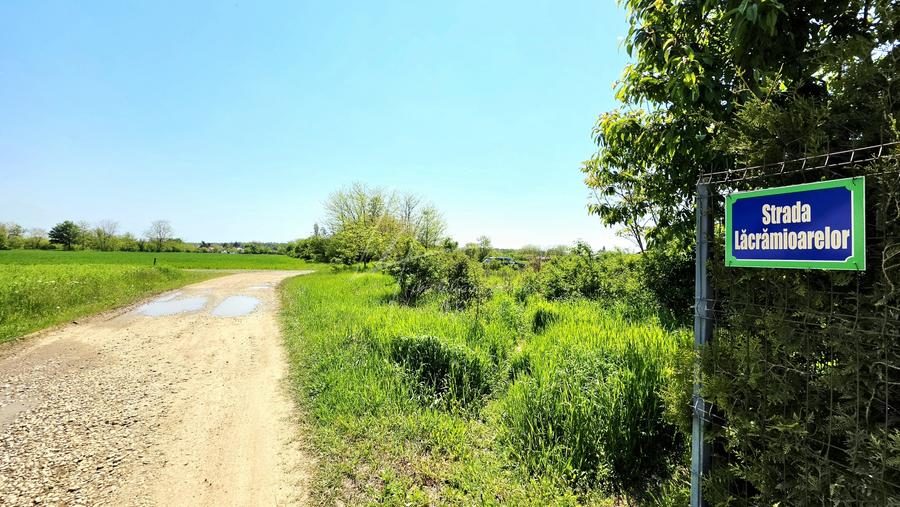 Teren Construcții intravilan de 591.66998291016 mp, în Bolintin-Deal