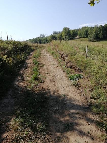 Teren de 1600 mp, în Cacica