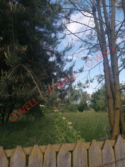 Teren Construcții intravilan de 8079 mp, în Târgu Secuiesc