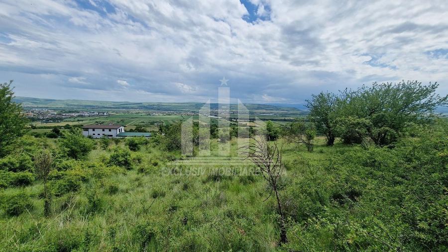 Teren agricol extravilan de 1400 mp, în Pâclișa
