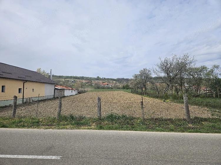 Teren de 2200 mp, în Petrani