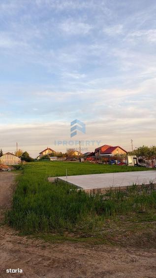 Teren Moara Vlasiei Intravilan 2 Parcele Padure - 2