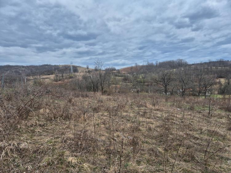 Teren agricol extravilan de 11400 mp, în Iabalcea