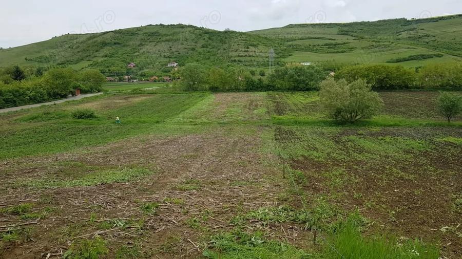 Teren de 2900 mp, în Căianu