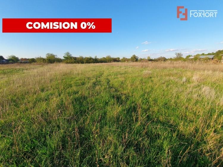 Teren Construcții intravilan de 3346 mp, în Jebel