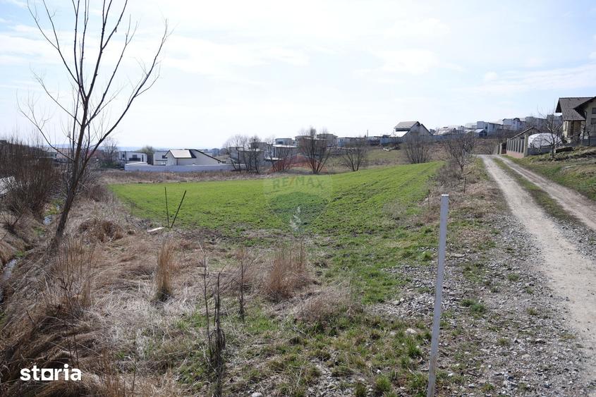 Teren de 3500 mp, în Moara