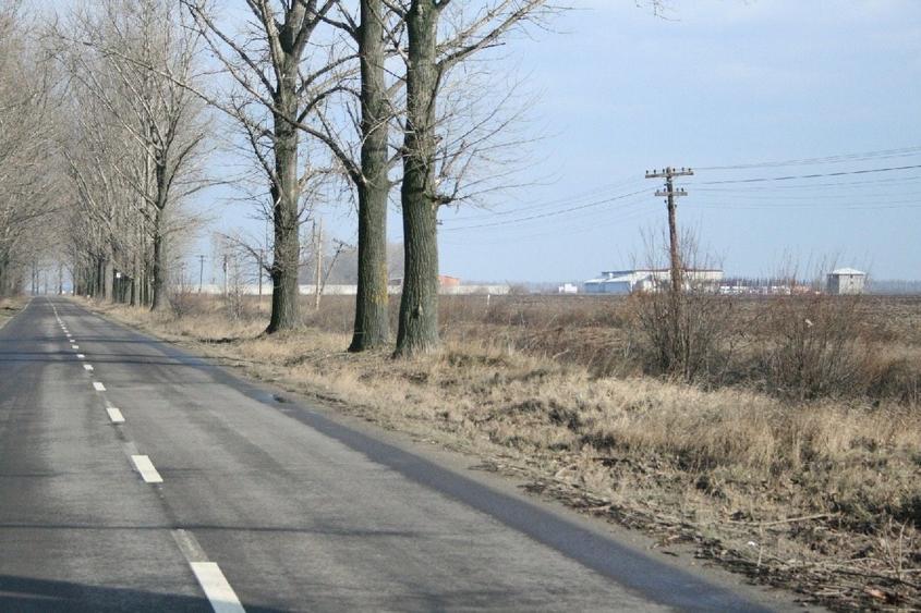 Teren agricol extravilan de 9200 mp, în Afumați