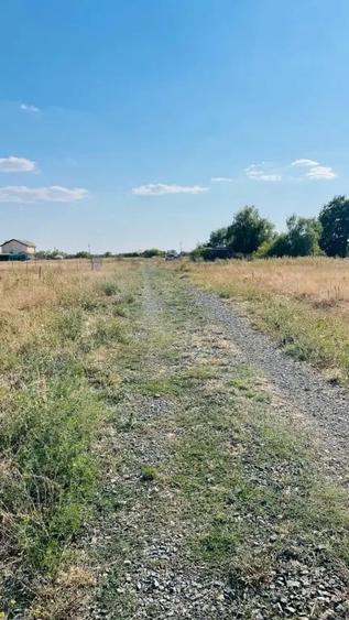 Teren de 614 mp, în Central