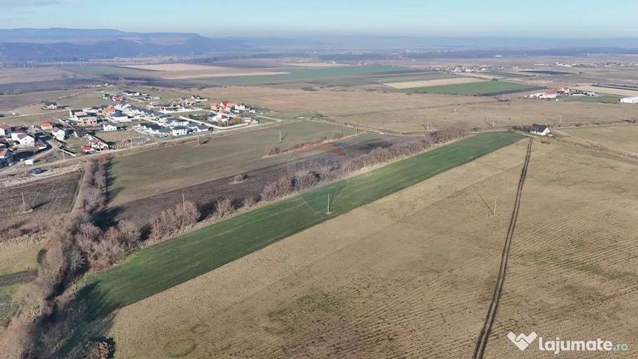 Teren de 15482 mp, în Hărman