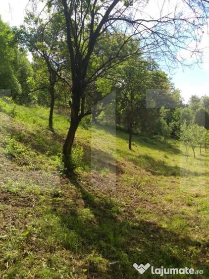 Teren de 2800 mp, în Micești