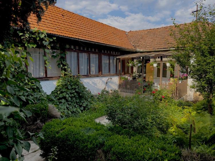 Casă individuală cu 4 camere cu Teren 320 Mp în Central