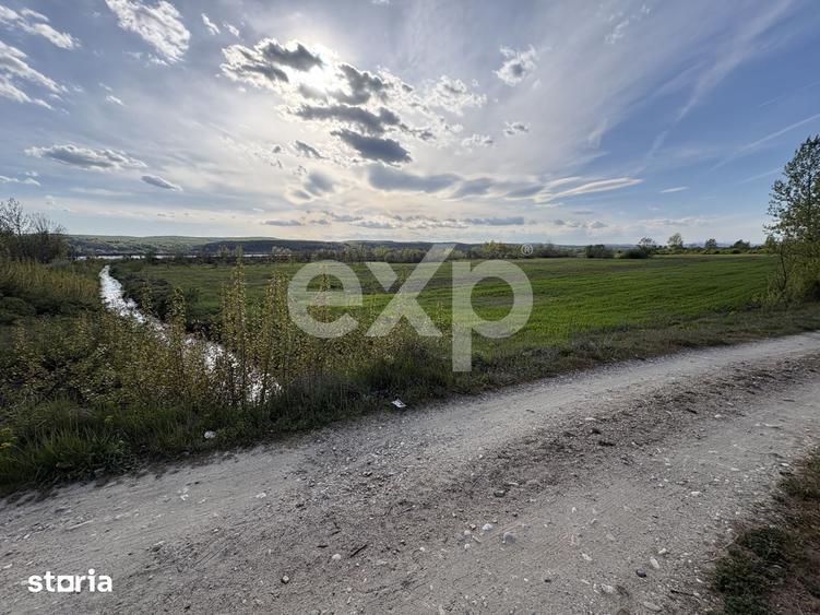 Teren de 20000 mp, în Budeasa