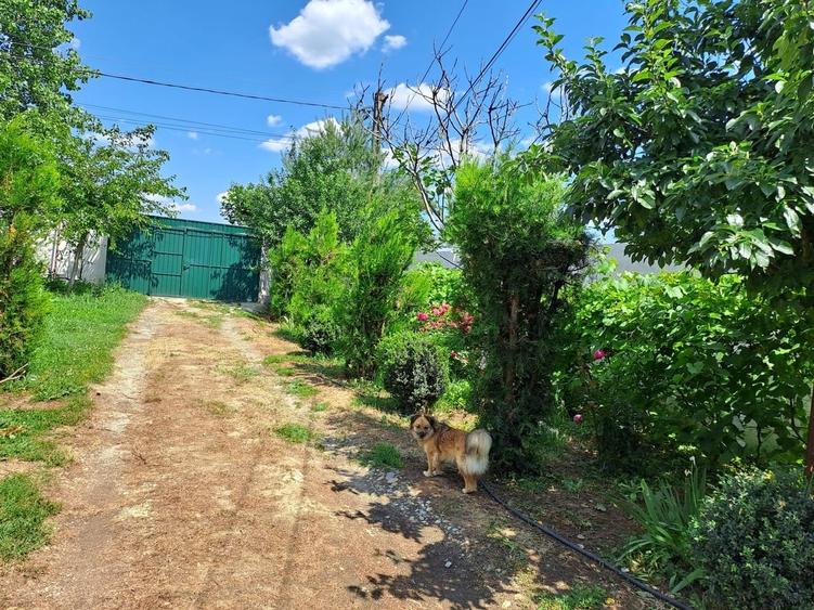 Casă cu 5 camere cu Teren 5600 Mp în Potlogi