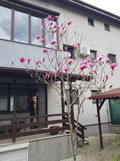 Casă cu 3 camere cu Teren 239 Mp în Tunari