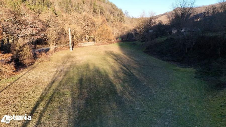 Teren de 23321 mp, în Vața de Jos