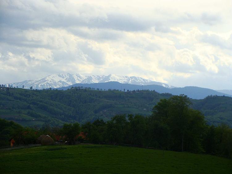 Teren cu PUZ, 11600mp, Brasov Poiana Marului, pe ruta via Transilvanica - 6