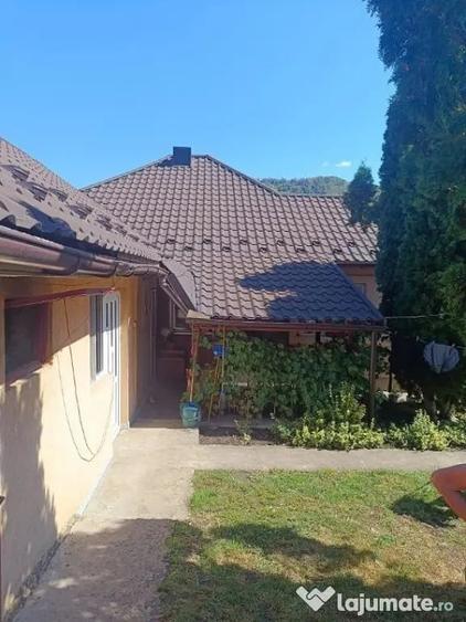 Casă cu 5 camere cu Teren 4925 Mp în Lechința