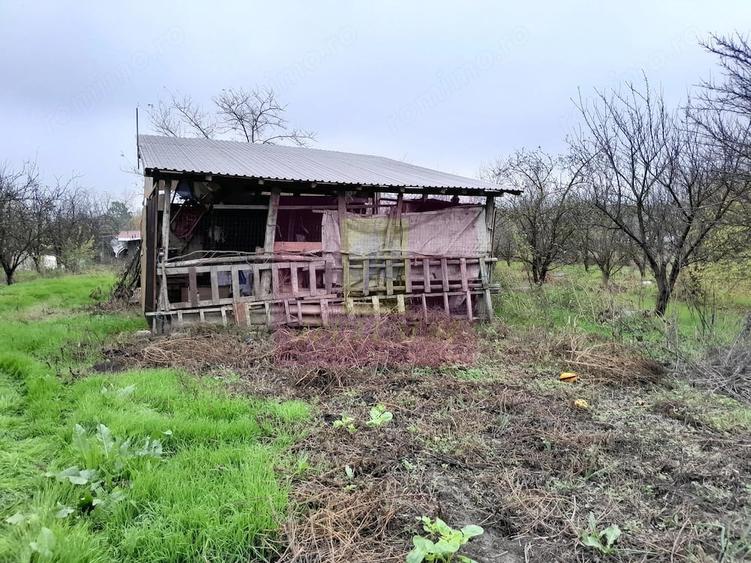 Casă cu 3 camere cu Teren 15000 Mp în Bărcănești