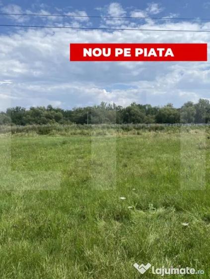 Teren de 1000 mp, în Central