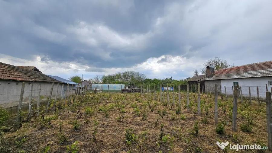 Casă cu 2 camere cu Teren 1500 Mp în Urzica