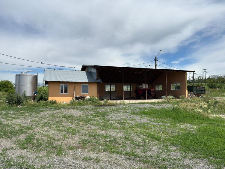 Proprietate specială, de 4,850 mp, în Vitănești