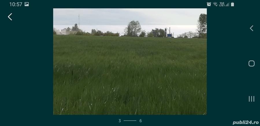 Teren în Căteasca