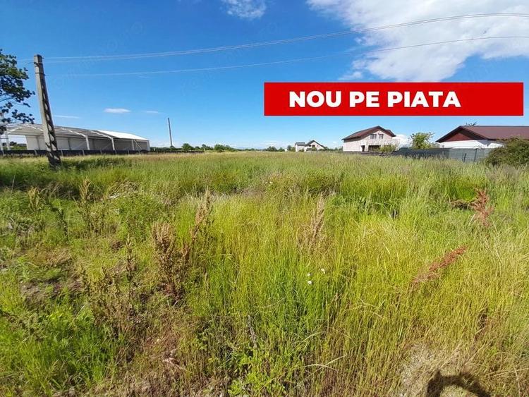 Teren de 1312 mp, în Bradu