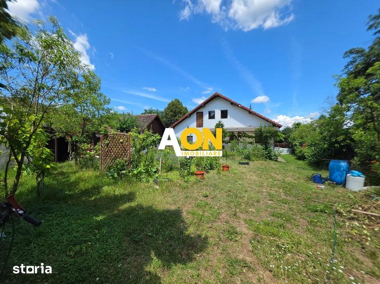 Casă cu 3 camere cu Teren 7050 Mp în Pianu