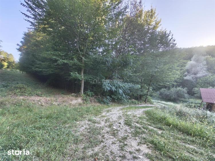 Teren intravilan de vanzare in padure Cisnadioara - 11