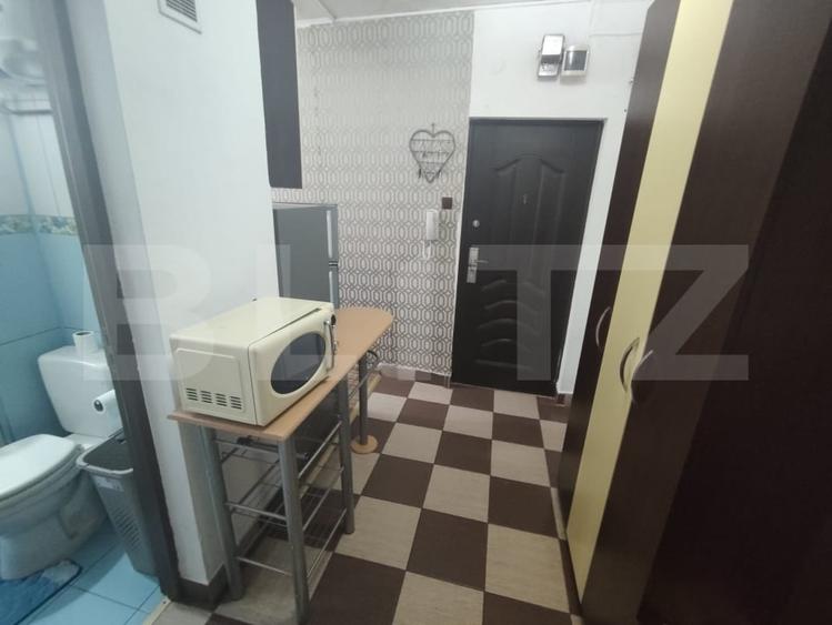 Apartament mobilat si utilat - Nufarul zona Onisifor Ghibu - 4
