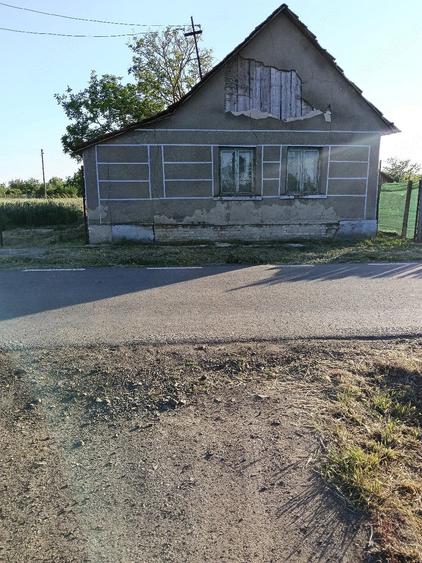 Case de vinzare - 10