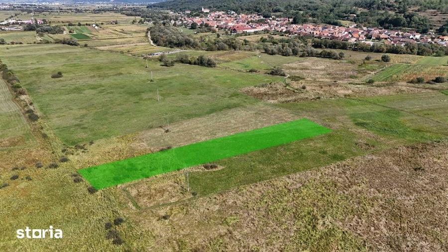 Teren de 2000 mp, în Bradu